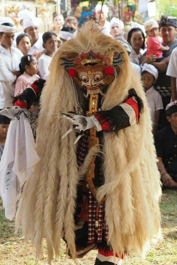 Halumba Eco Villa Bali テジャクラ エクステリア 写真