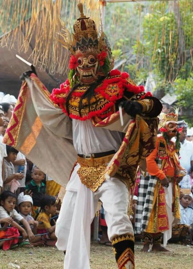 Halumba Eco Villa Bali テジャクラ エクステリア 写真